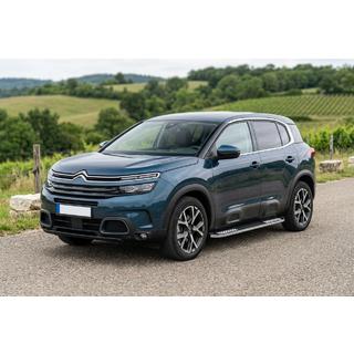 Sānu pakāpieni Tayga V2 (2 gab., alumīnijs) foto 1