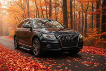 Audi Q5 2008–2017 Sānu sliekšņi New Vision Black (2 gab., alumīnijs) foto 1