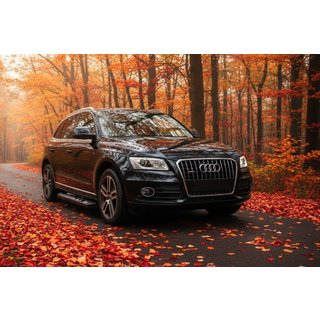Sānu sliekšņi New Vision Black (2 gab., alumīnijs) Audi Q5 2008–2017 foto 1