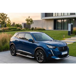 Sānu pakāpieni Tayga V2 (2 gab., alumīnijs) Peugeot 3008 2016–2023 foto 1