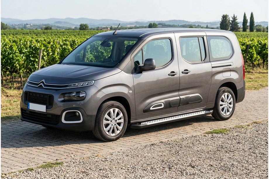 Citroen Berlingo/Multispace 2018– Sānu pakāpieni Allmond Grey (2 gab., alumīnijs) Image