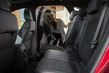 Jaunās paaudzes kompaktais krosovers Ford Kuga foto 10