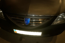 Dacia Logan MCV 2004–2014 Priekšējā režģa uzlikas 2004-2008 (nerūsējošais tērauds) Carmos - turku teras foto 3