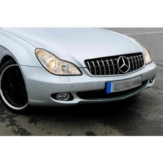 Priekšējā radiatora reste (2008-2010, GT Panamericana) Mercedes CLS C219 2004–2010 foto 1