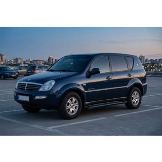 Sānu pakāpieni Maya Blue (2 gab., alumīnijs) SsangYong Rexton I 2001–2017 foto 1