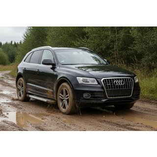 Sānu pakāpieni New Vision Grey (2 gab., alumīnijs) Audi Q5 2008–2017 foto 1