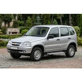 Sānu pakāpieni New Vision Grey (2 gab., alumīnijs) foto 1