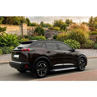 Sānu pakāpieni New Vision Grey (2 gab., alumīnijs) Peugeot 3008 2016–2023 foto 1