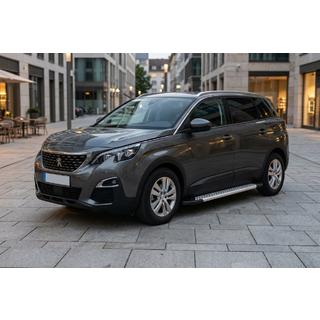 Sānu pakāpieni New Vision Grey (2 gab., alumīnijs) foto 1