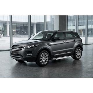 Sānu pakāpieni New Vision Grey (2 gab., alumīnijs) foto 1