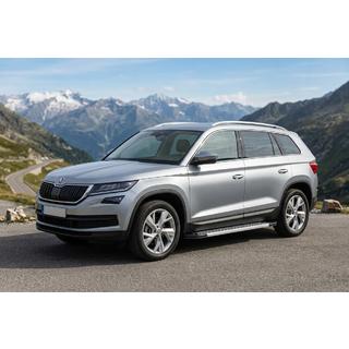 Sānu pakāpieni New Vision Grey (2 gab., alumīnijs) foto 1