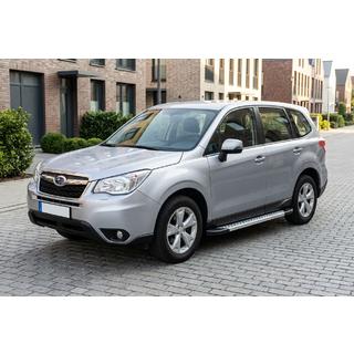 Sānu pakāpieni New Vision Grey (2 gab., alumīnijs) foto 1