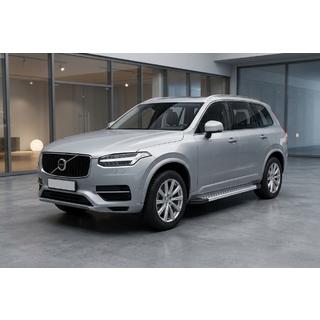 Sānu pakāpieni New Vision Grey (2 gab., alumīnijs) foto 1