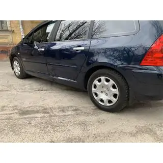 Dubļusargi Premium (4 gab.) Peugeot 307 2001–2008 foto 1