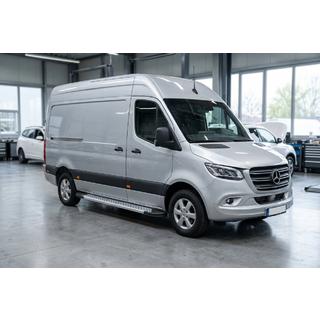 Sānu pakāpieni New Vision Grey (2 gab., alumīnijs) foto 1