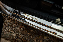 Skoda Octavia III A7 2013–2019 Carmos V1 sliekšņu uzlikas (8 gab., nerūsējošais tērauds) foto 1