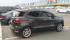 Ford Ecosport 2013–2022 Durvju moldingi (4 gab., nerūsējošais tērauds) foto 1