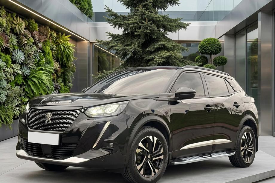 Peugeot 3008 2016–2023 Mevsim Grey sānu pakāpieni (2 gab., alumīnijs) Image