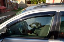 Ford Focus I 1998–2005 Logu vēja deflektori SW (4 gab., HIC) foto 1