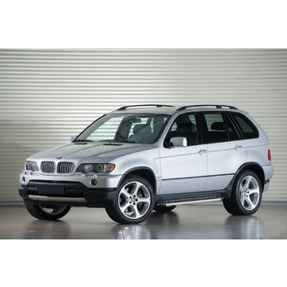 Sānu pakāpieni Tayga Grey (2 gab., alumīnijs) BMW X5 E53 1999–2006 foto 1