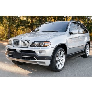 Sānu sliekšņi Tayga Black (2 gab., alumīnijs) BMW X5 E53 1999–2006 foto 1