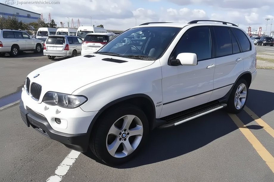 BMW X5 E53 1999–2006 Sānu pakāpieni Bosphorus Grey (2 gab., alumīnijs) Image