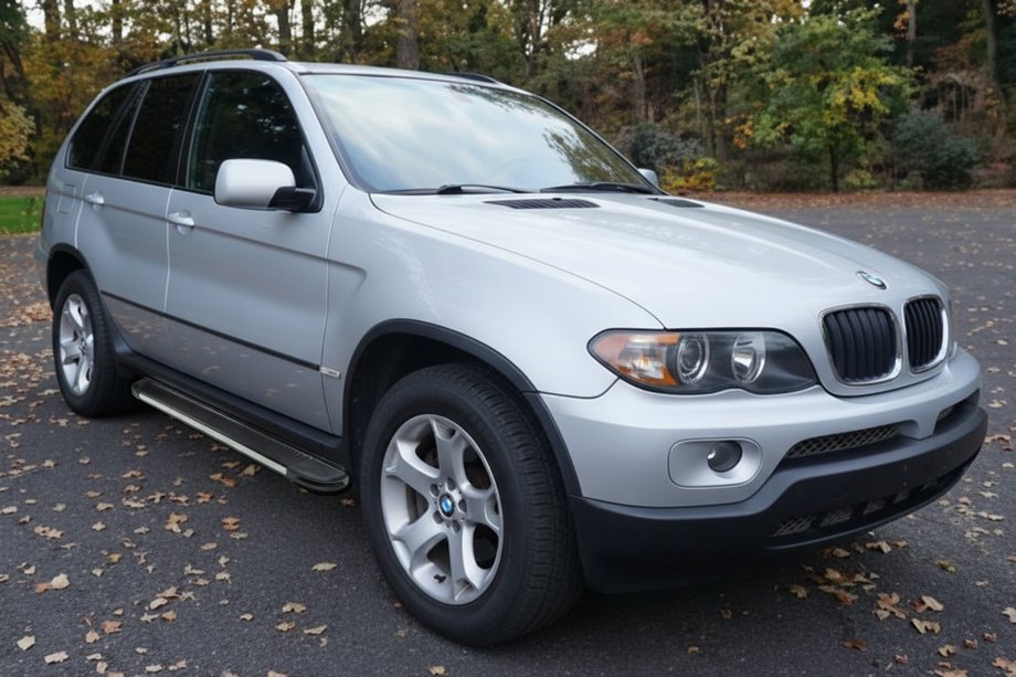 BMW X5 E53 1999–2006 Sānu pakāpieni Maya V1 (2 gab., alumīnijs) Image