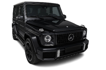 Mercedes G class W463 1990–2018 Priekšējā reste (GT Panamericana, bez hroma) foto 4