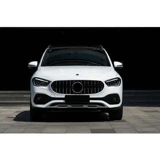 Priekšējais režģis Panamericana GT foto 1