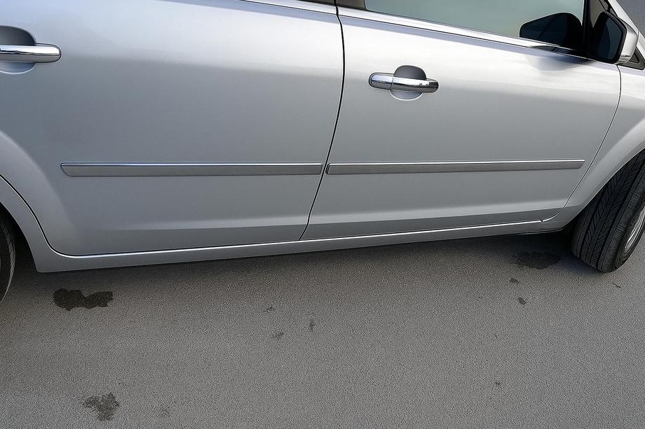 Ford C-Max 2004–2010 Durvju moldingi (4 gab., nerūsējošais tērauds) Carmos - turku teras Image