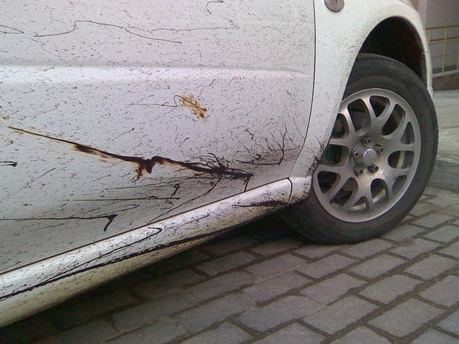 Kā notīrīt bitumu no automašīnas?