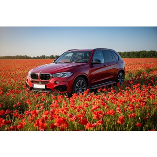 Sānu pakāpieni Maya Red (2 gab., alumīnijs) BMW X5 F15 2013–2018 foto 1