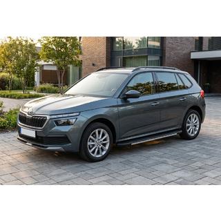 Sānu sliekšņi Bosphore Grey (2 gab., alumīnijs) foto 1