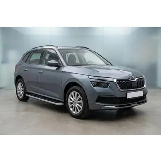 Sānu sliekšņi Tayga Grey (2 gab., alumīnijs) foto 1
