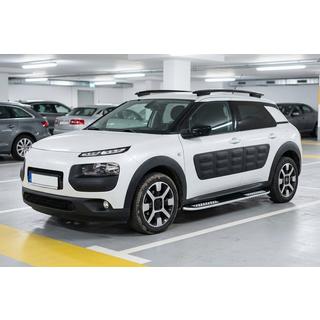 Sānu pakāpieni Tayga V2 (2 gab., alumīnijs) foto 1