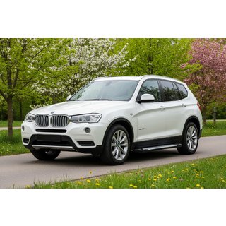 Sānu pakāpieni Allmond Grey (2 gab., alumīnijs) BMW X3 F25 2011–2018 foto 1