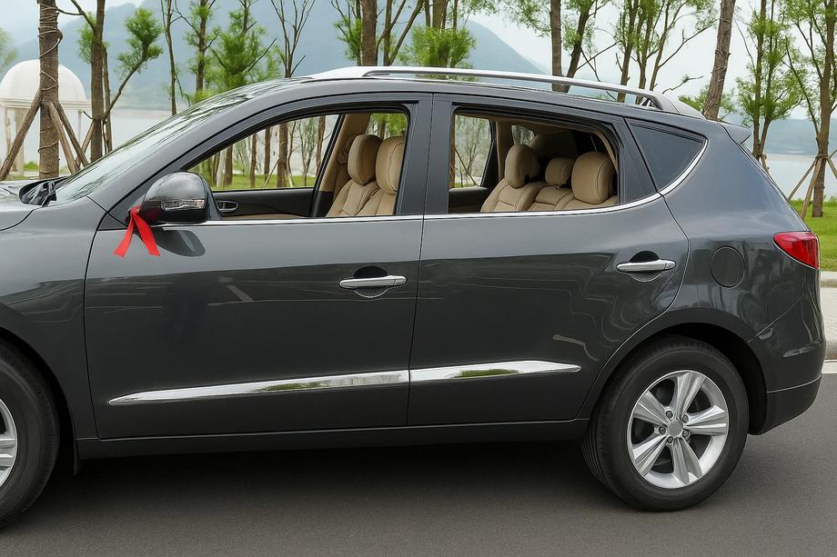 Geely Emgrand X7 2011– Libao durvju moldingi (4 gab., plastmasa) Image