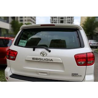 Libao spoileris (2008-2012, ABS plastmasa) foto 2