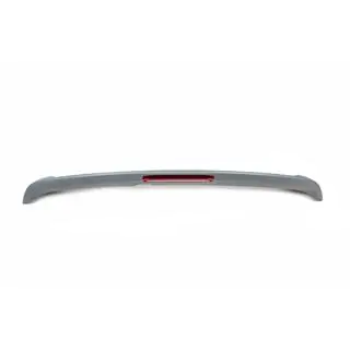 Libao spoileris (2008-2012, ABS plastmasa) foto 4