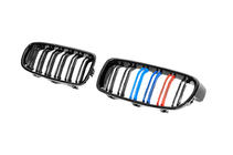 BMW 3. sērija F30/F31 2012–2019 M-Look nieru restes (M-Color) foto 6