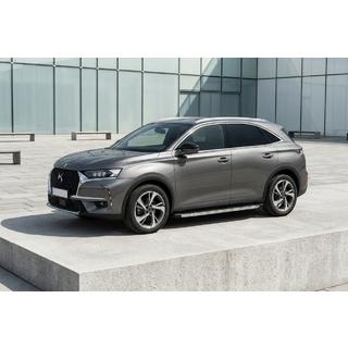 Sānu pakāpieni BlackLine (2 gab., alumīnijs) foto 1