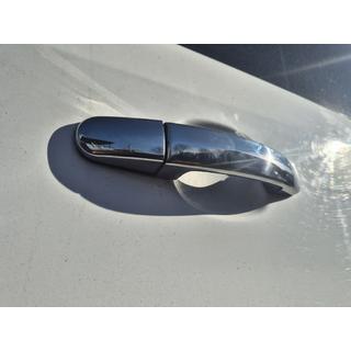 Durvju rokturu uzlikas Carmos (nerūsējošais tērauds) Ford Custom 2013–2022 foto 4